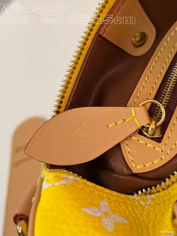 Louis Vuitton SPEEDY 25 0613